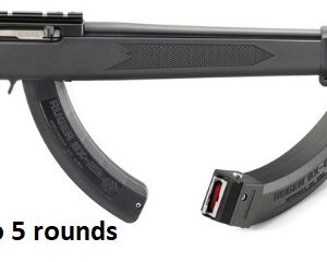 RUGER 10/22 Carbine, Semi-automatic Rifle, 22 LR, 18.5"