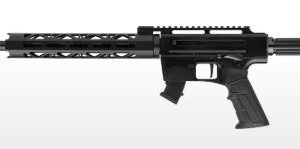 Rock Island Armory TM22 BLACK c.22 LR 20″