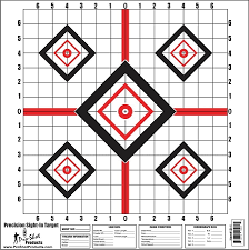 PRECISION SIGHT IN TARGET 16"X16" 10/PKG